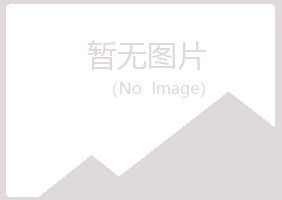 青岛黄岛夏槐机械有限公司